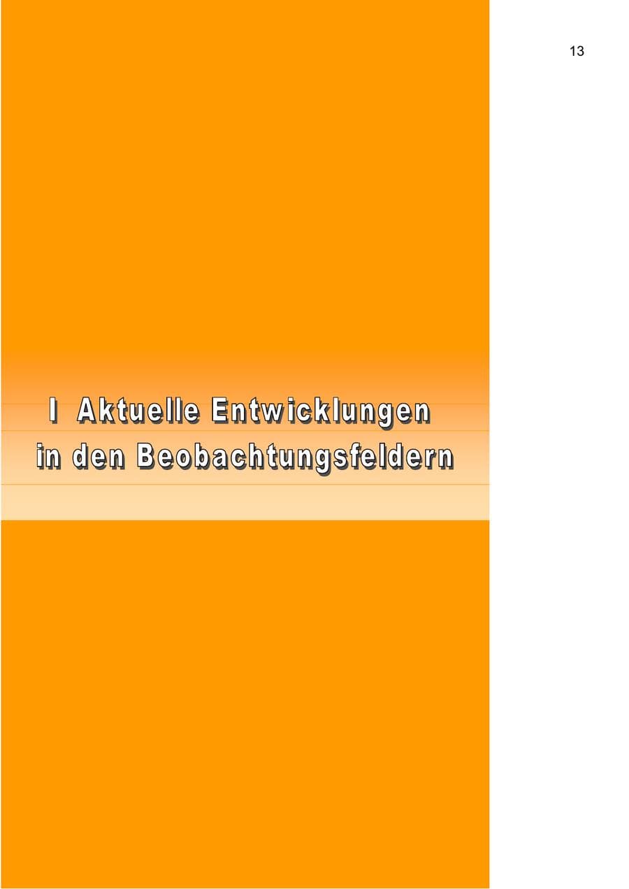 Seite 13 des Verfassungsschutzbericht 2003 Berlin