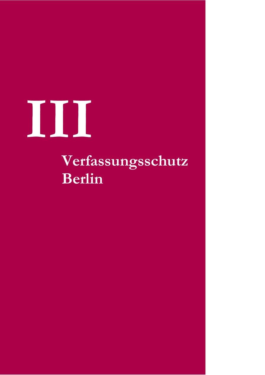 Seite 256 des Verfassungsschutzbericht 2008 Berlin