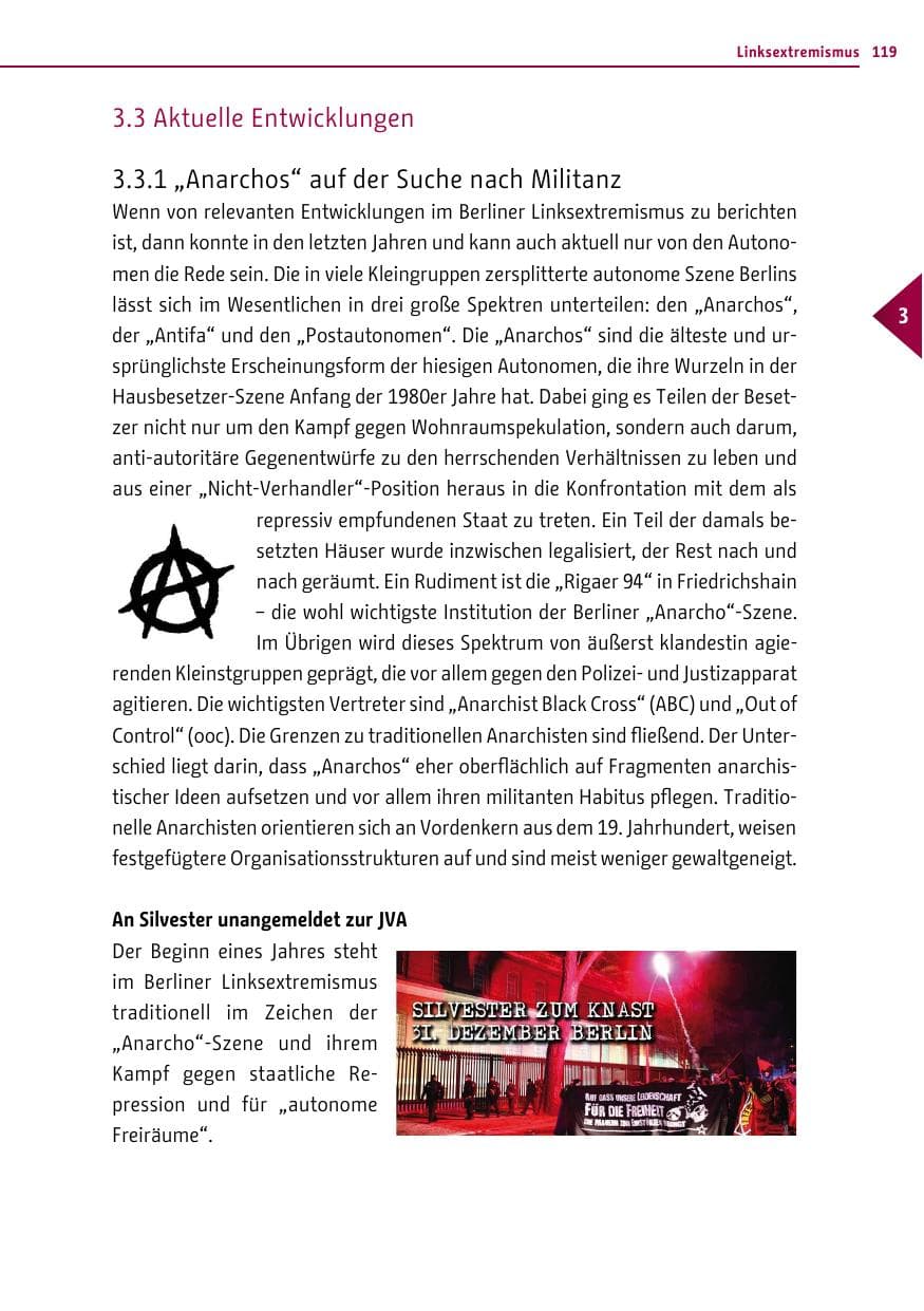 Seite 119 des Verfassungsschutzbericht 2013 Berlin