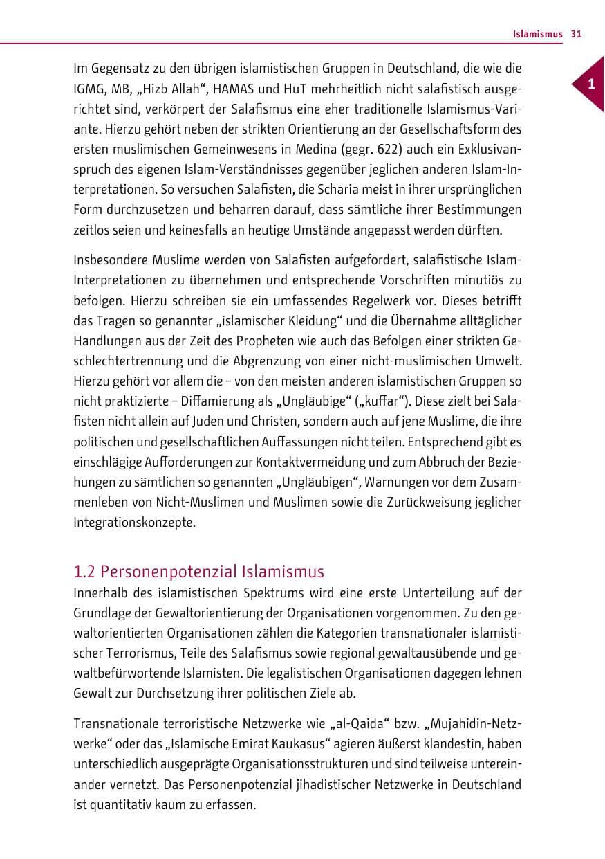 Seite 31 des Verfassungsschutzbericht 2013 Berlin