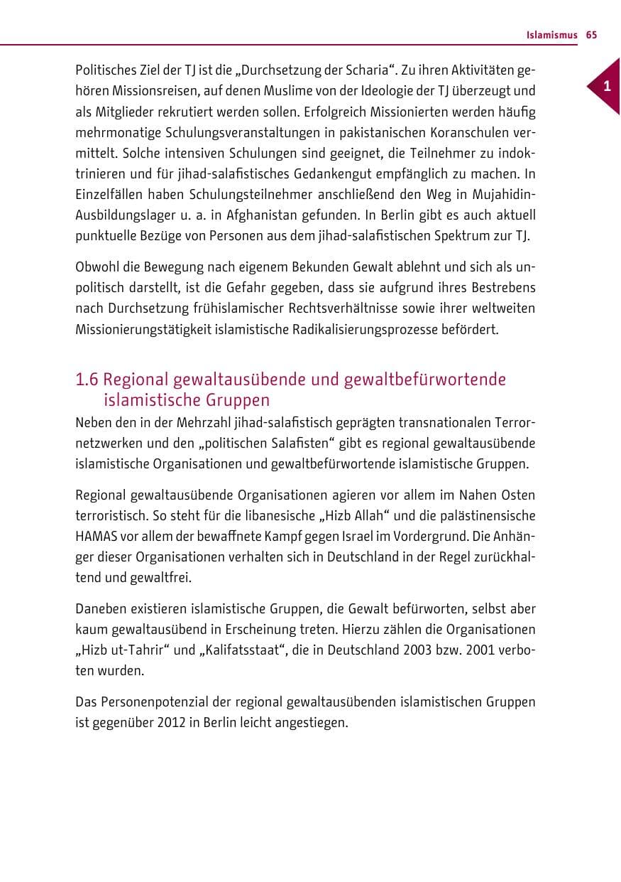 Seite 65 des Verfassungsschutzbericht 2013 Berlin