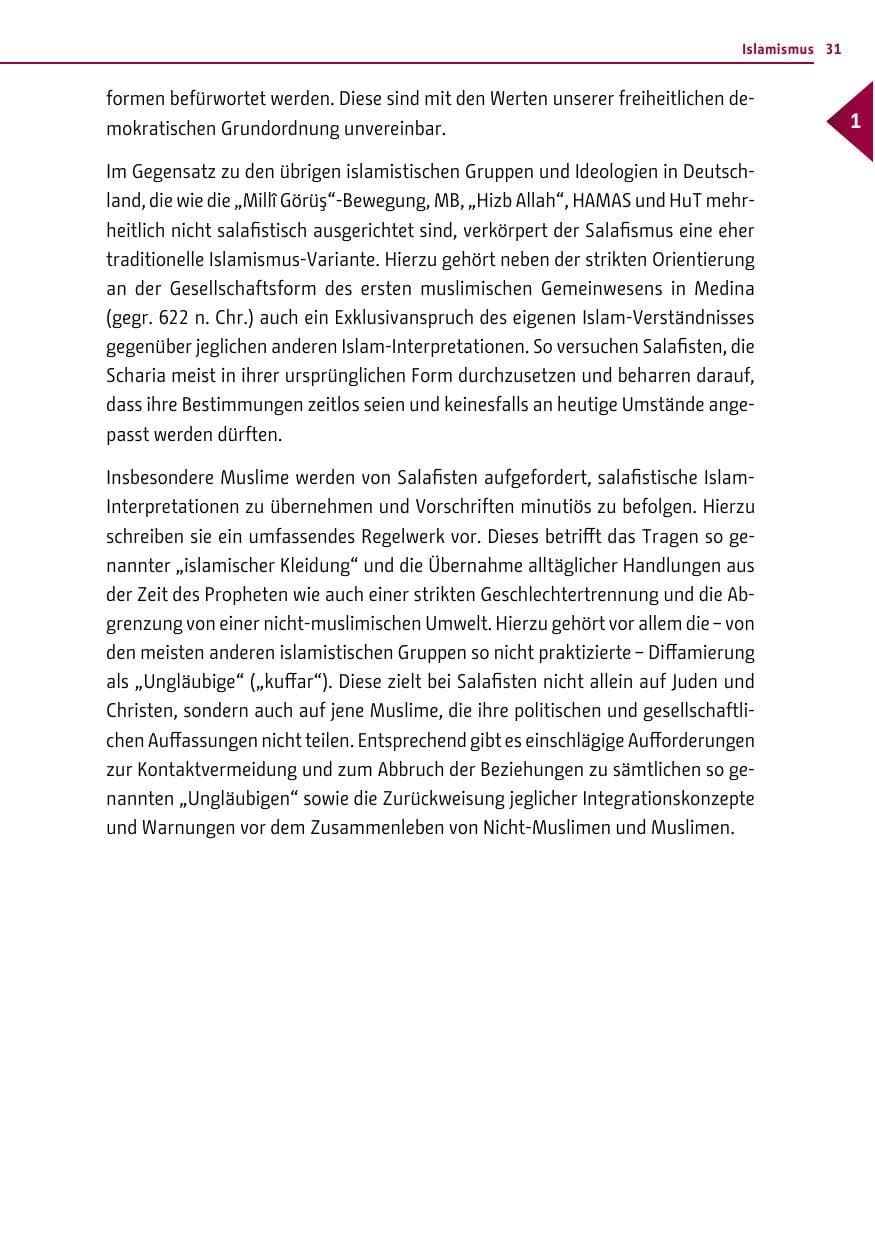 Seite 31 des Verfassungsschutzbericht 2014 Berlin