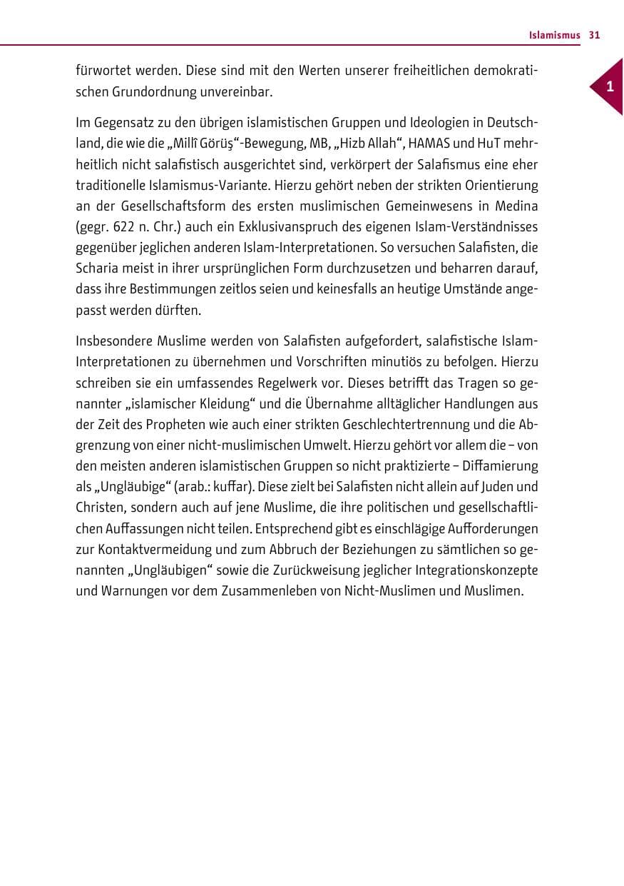 Seite 31 des Verfassungsschutzbericht 2015 Berlin