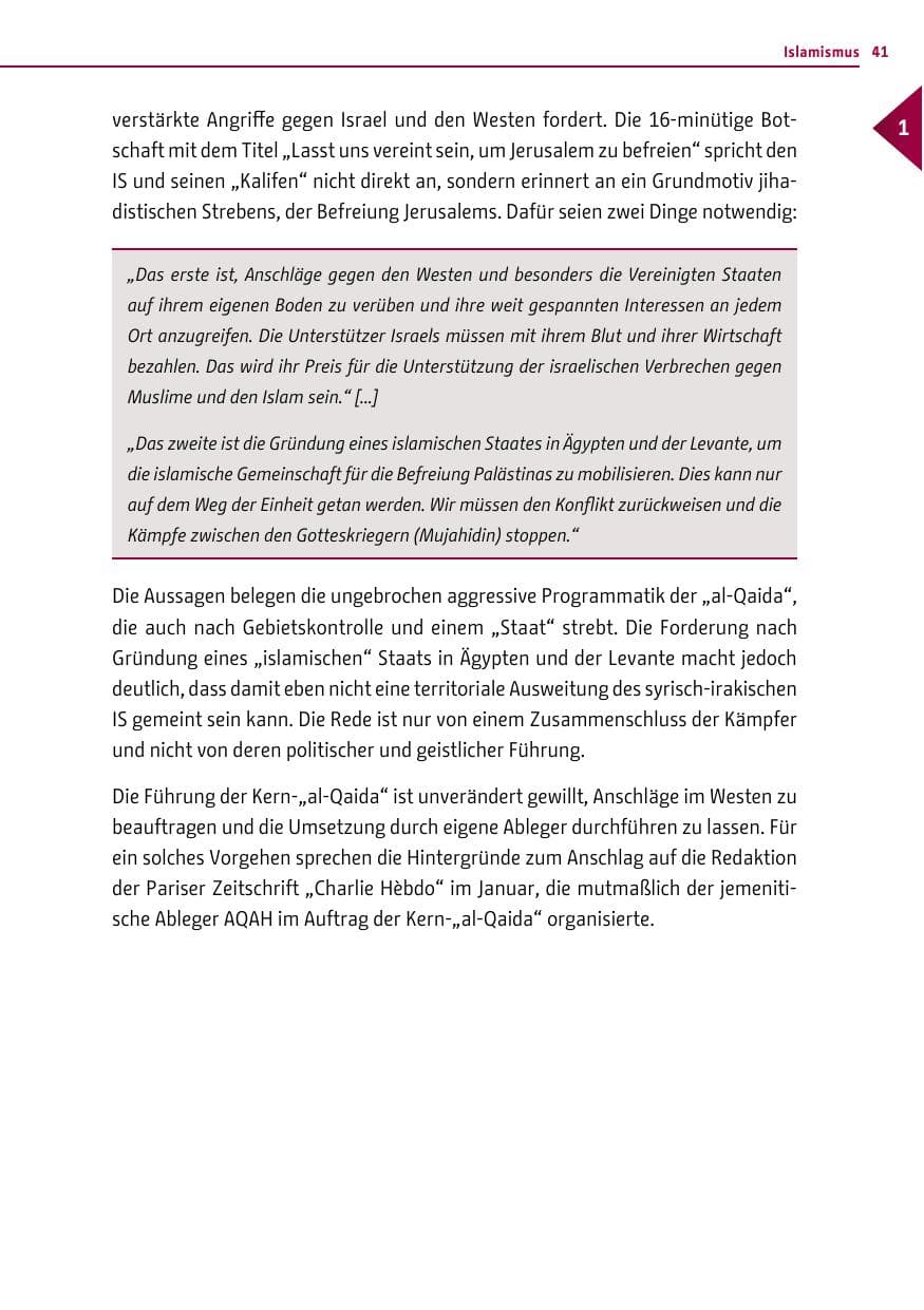 Seite 41 des Verfassungsschutzbericht 2015 Berlin
