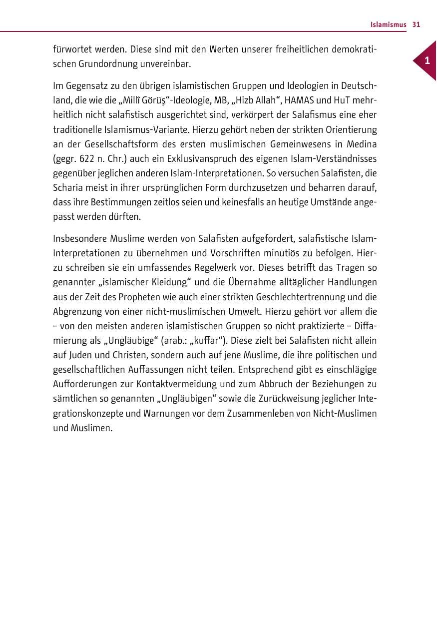 Seite 30 des Verfassungsschutzbericht 2016 Berlin