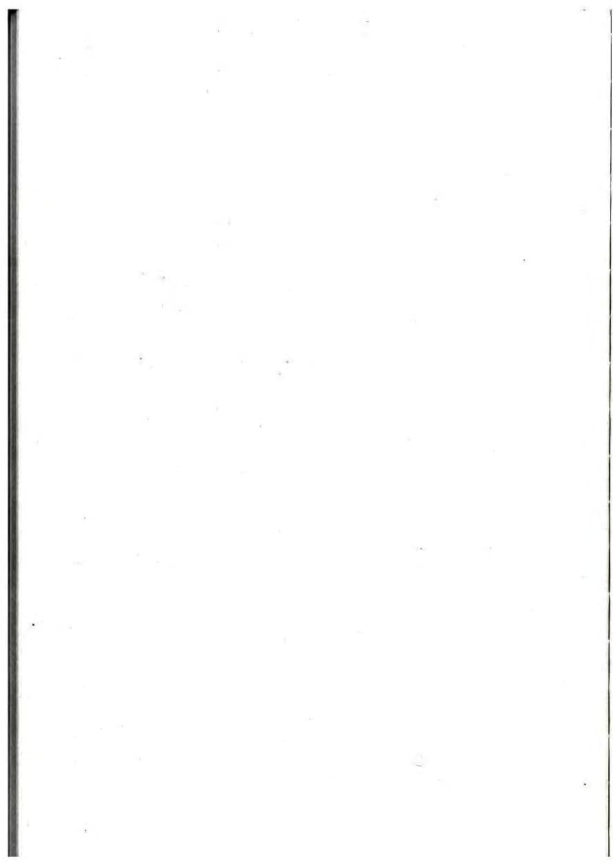 Seite 132 des Verfassungsschutzbericht 1987 Baden-Württemberg