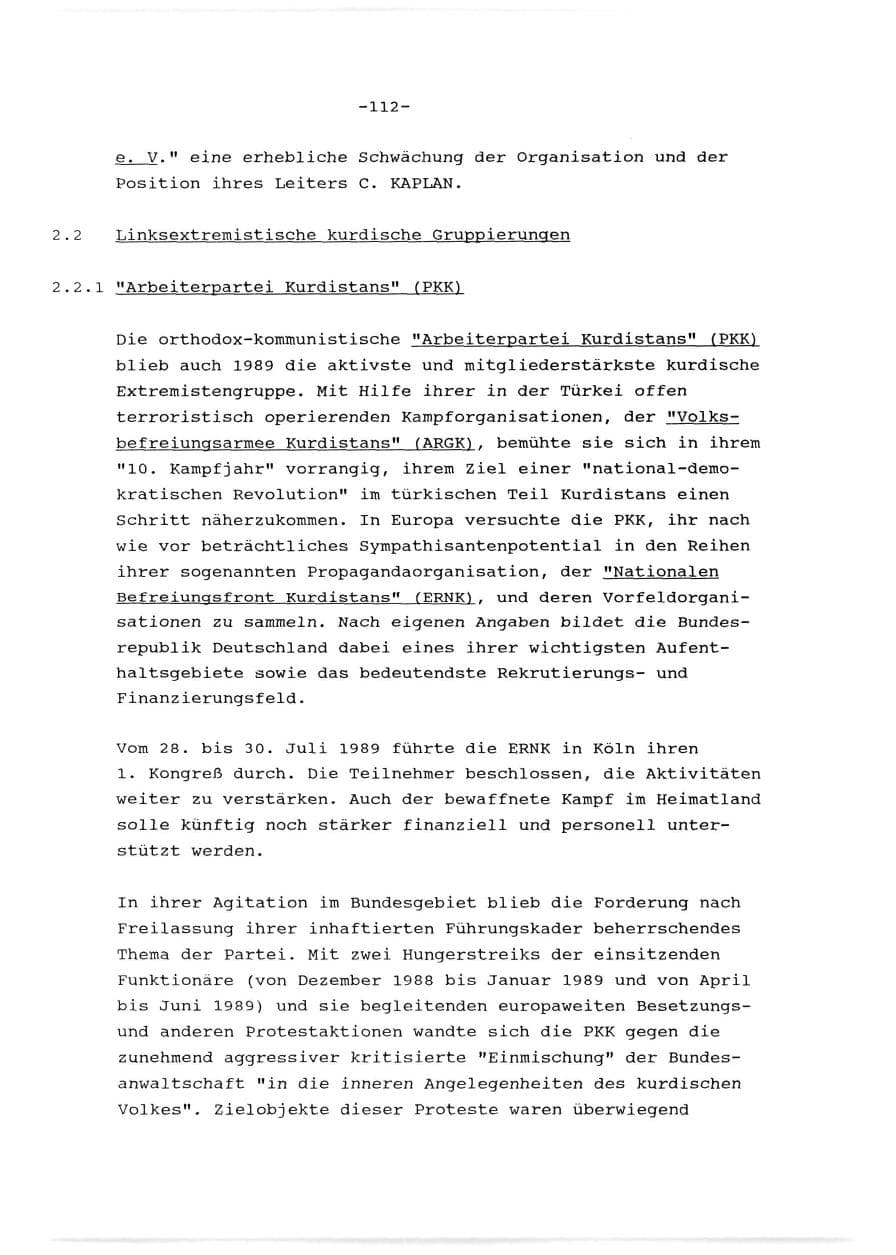 Seite 113 des Verfassungsschutzbericht 1989 Baden-Württemberg