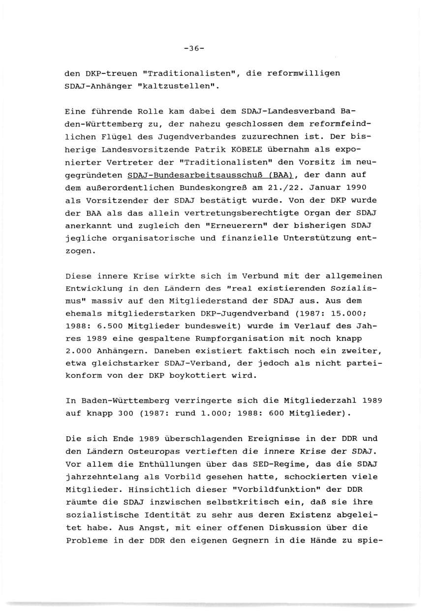 Seite 37 des Verfassungsschutzbericht 1989 Baden-Württemberg