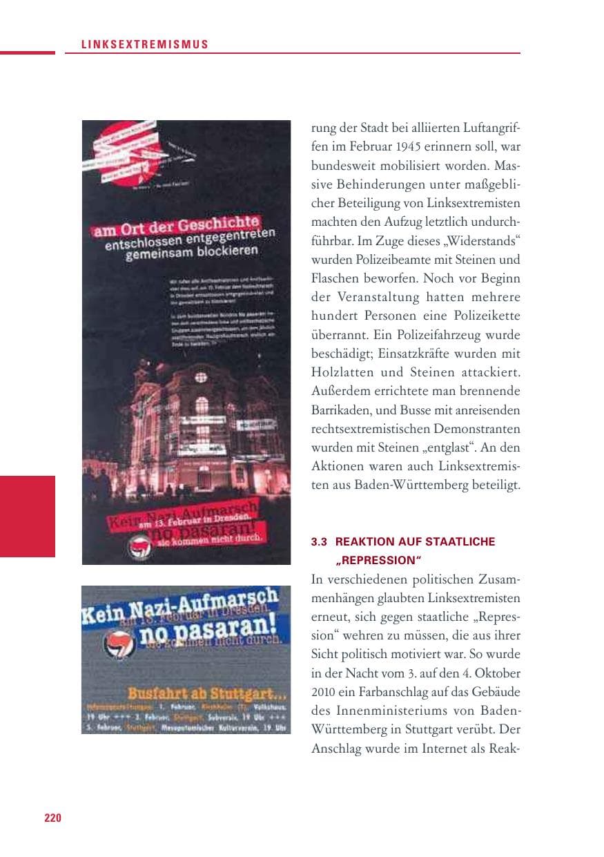 Seite 218 des Verfassungsschutzbericht 2010 Baden-Württemberg