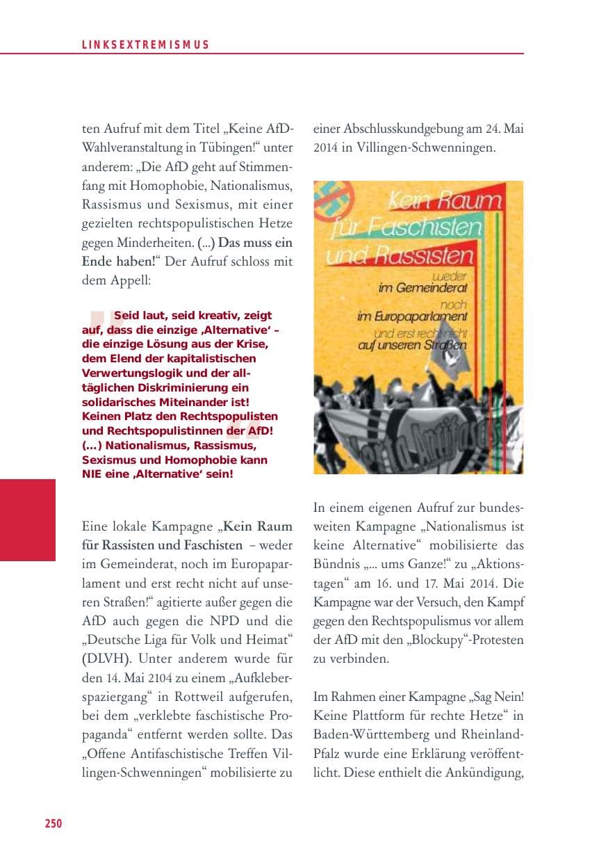 Seite 250 des Verfassungsschutzbericht 2014 Baden-Württemberg