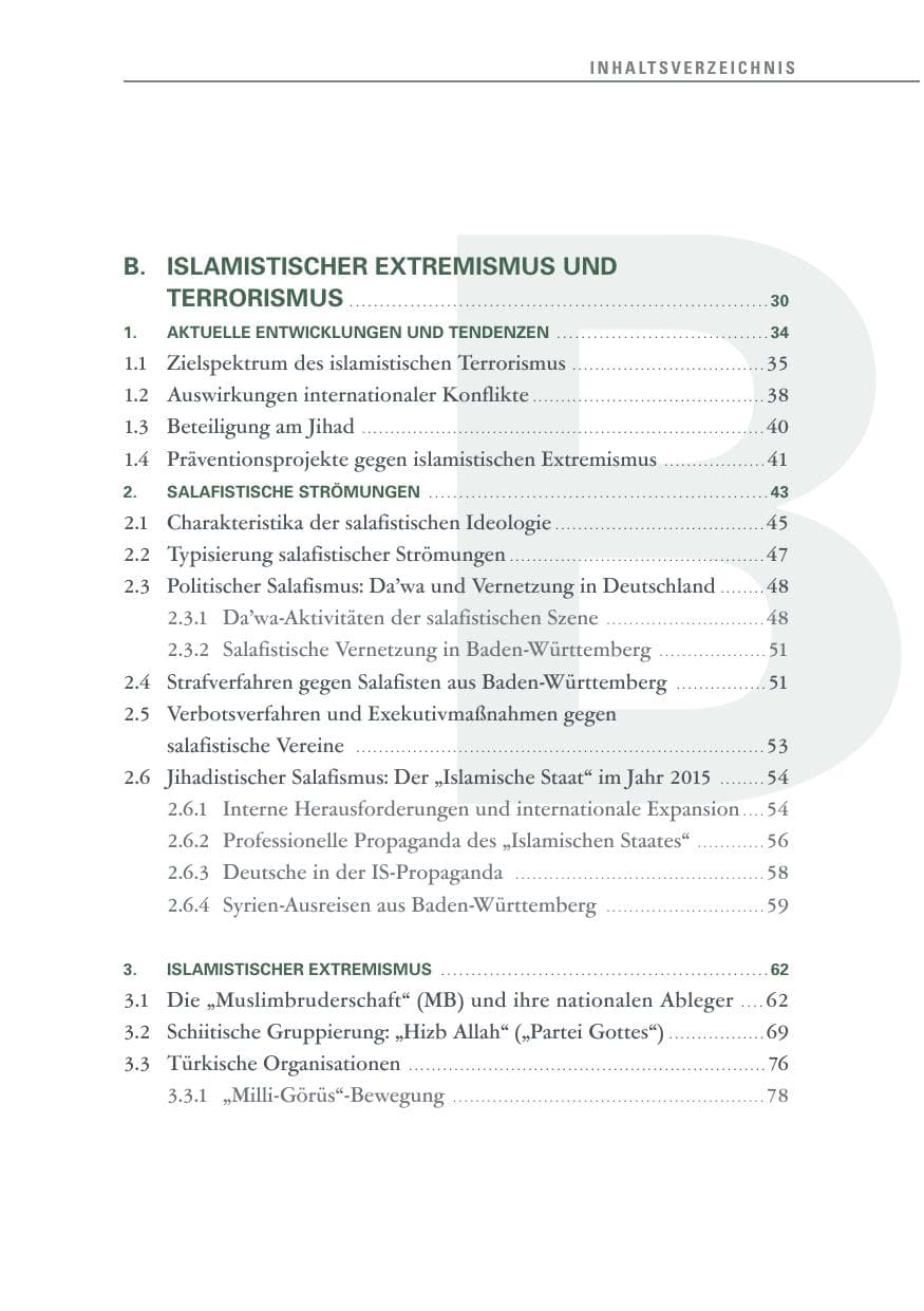 Seite 11 des Verfassungsschutzbericht 2015 Baden-Württemberg