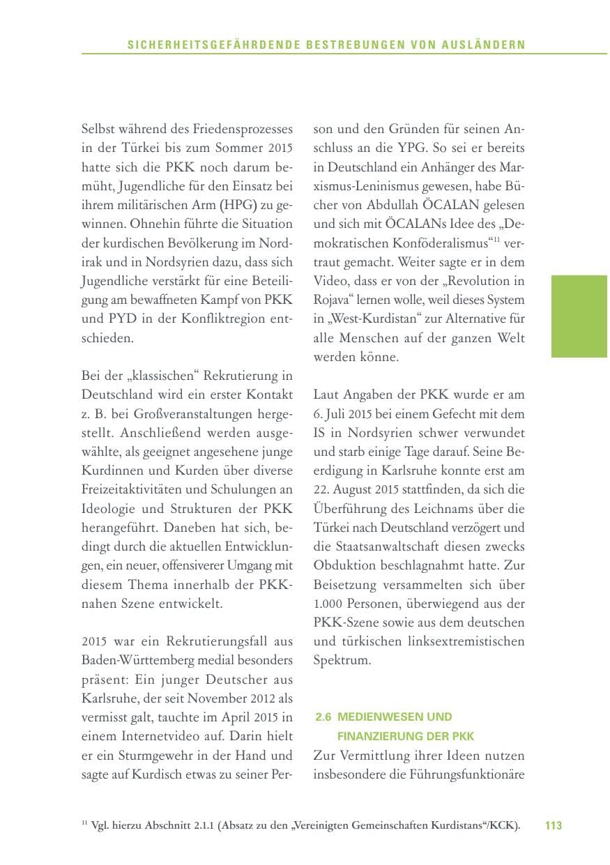 Seite 113 des Verfassungsschutzbericht 2015 Baden-Württemberg