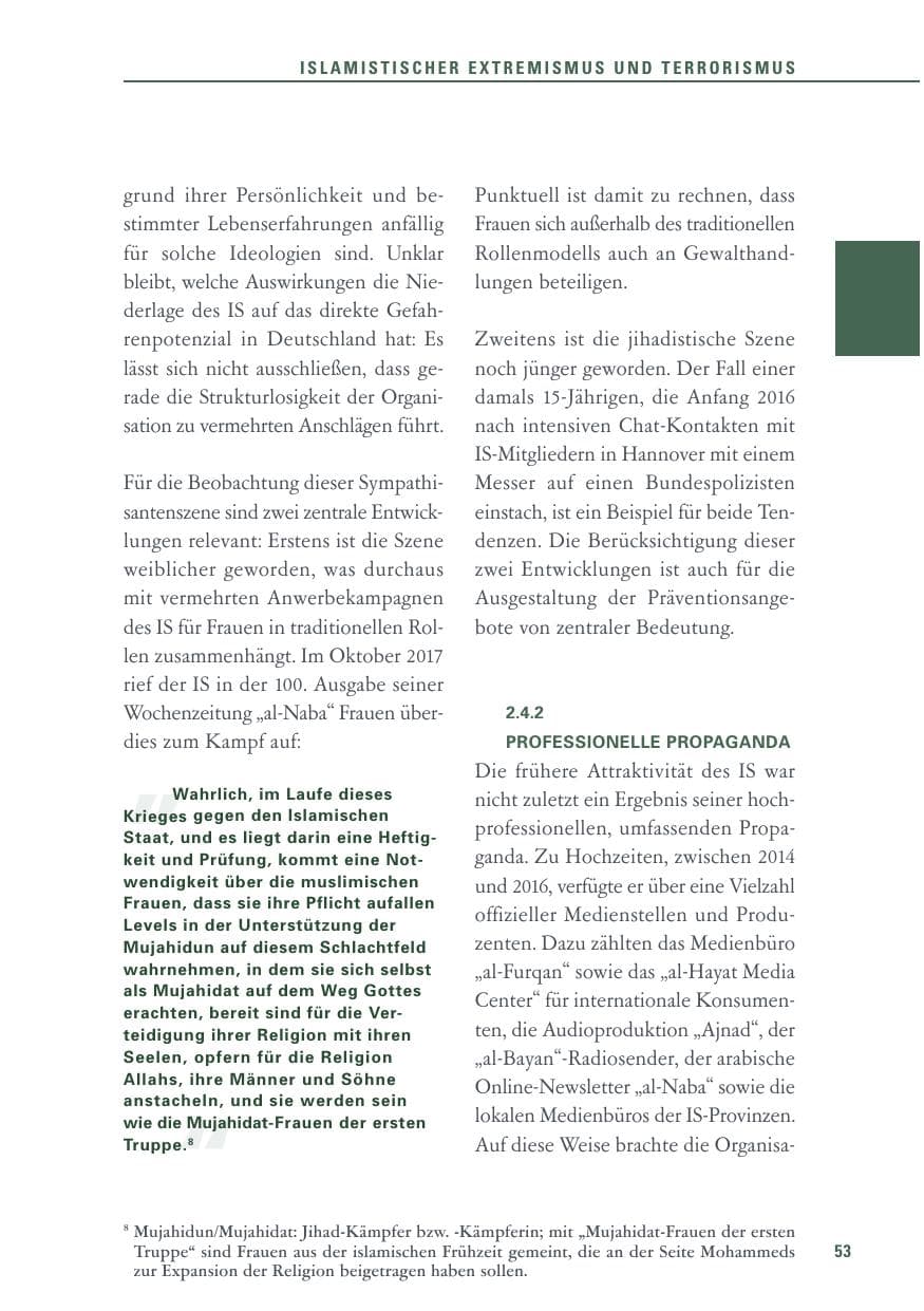 Seite 53 des Verfassungsschutzbericht 2017 Baden-Württemberg
