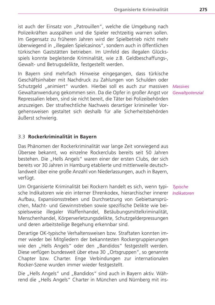 Seite 275 des Verfassungsschutzbericht 2004 Bayern