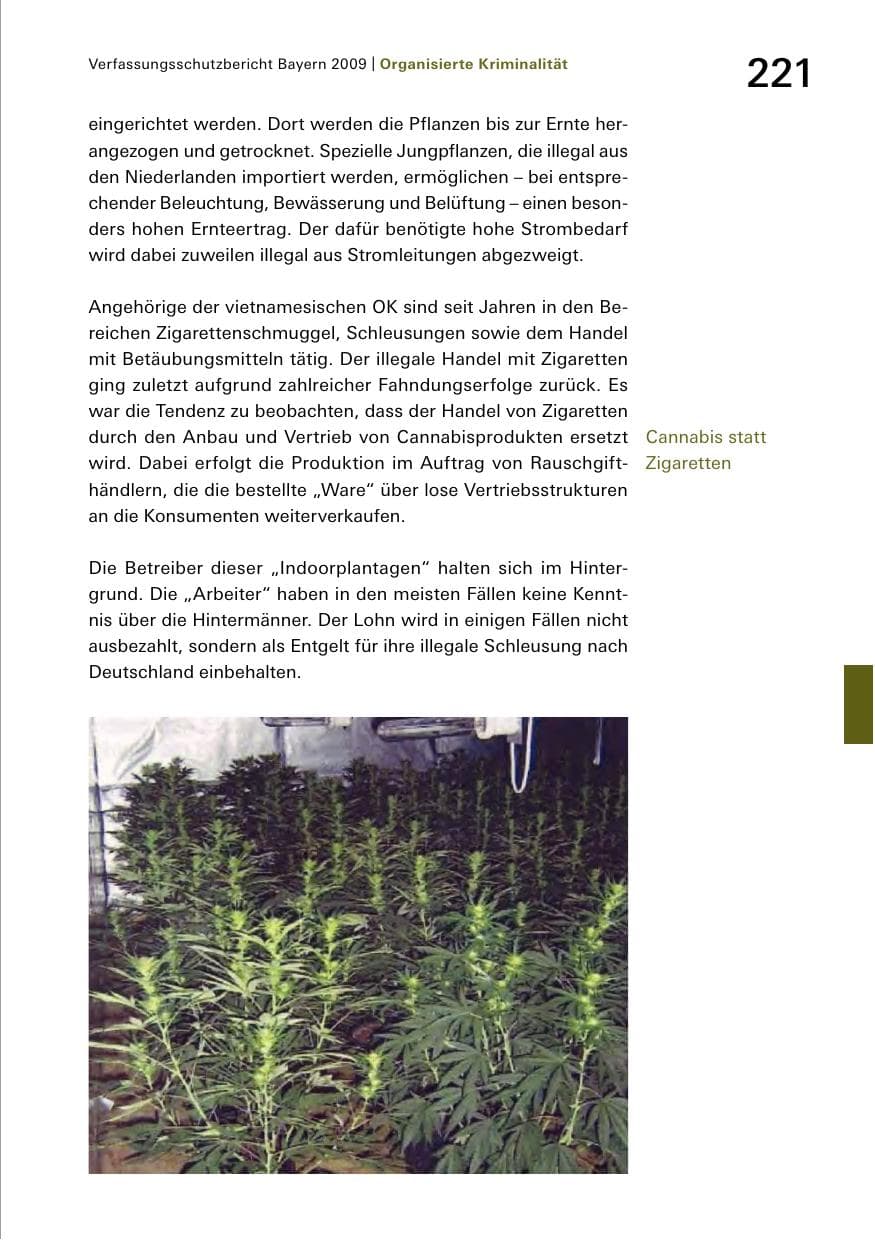 Seite 223 des Verfassungsschutzbericht 2009 Bayern