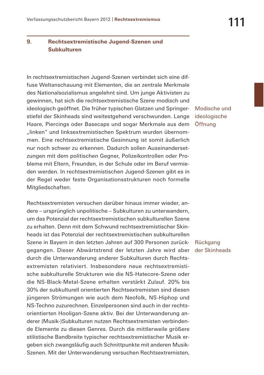 Seite 111 des Verfassungsschutzbericht 2012 Bayern