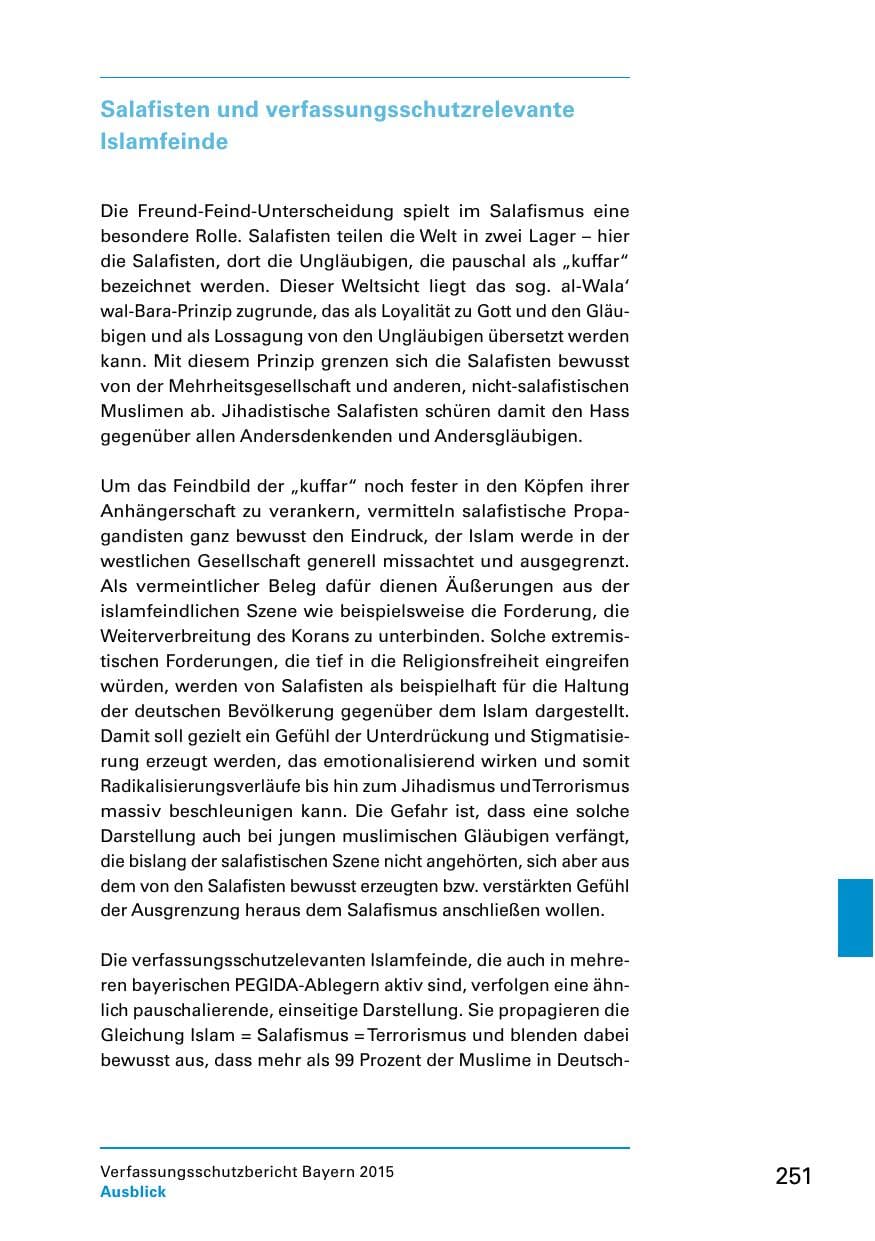 Seite 253 des Verfassungsschutzbericht 2015 Bayern