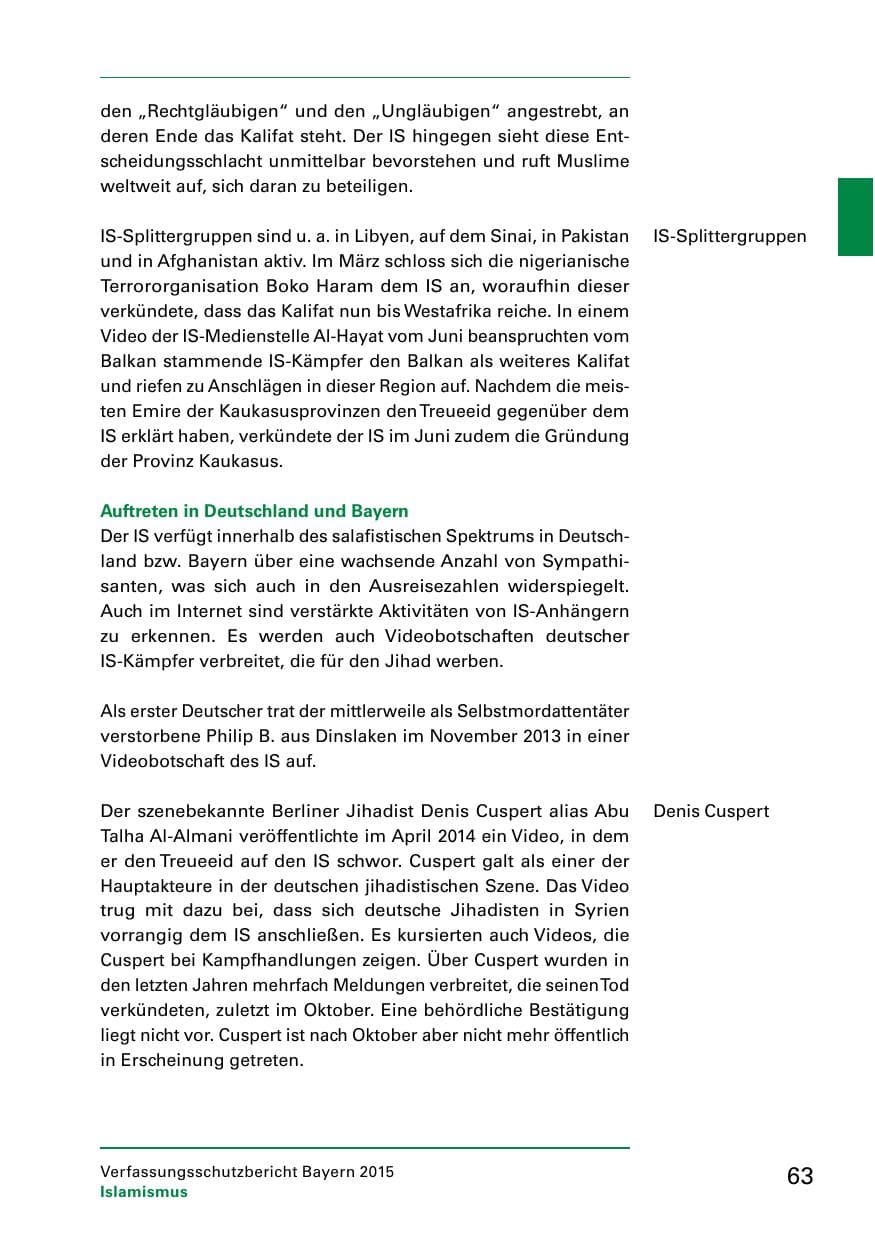 Seite 65 des Verfassungsschutzbericht 2015 Bayern