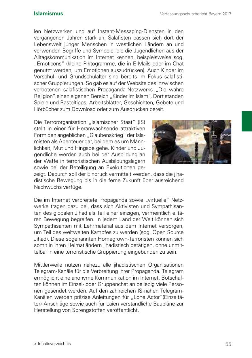 Seite 55 des Verfassungsschutzbericht 2017 Bayern