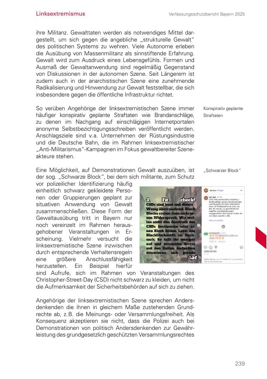 Seite 239 des Verfassungsschutzbericht 2025 Bayern
