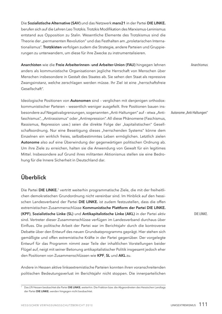 Seite 113 des Verfassungsschutzbericht 2010 Hessen