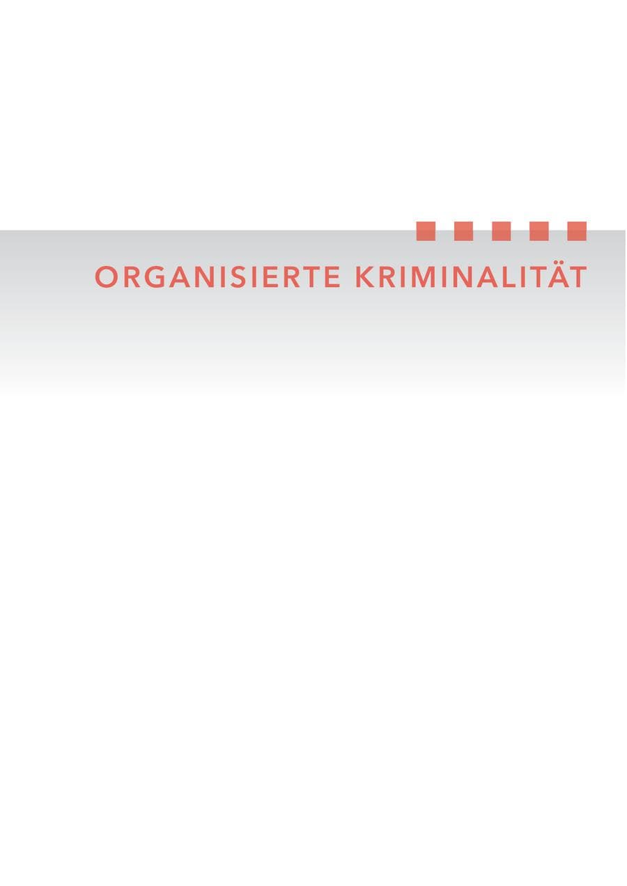 Seite 141 des Verfassungsschutzbericht 2010 Hessen