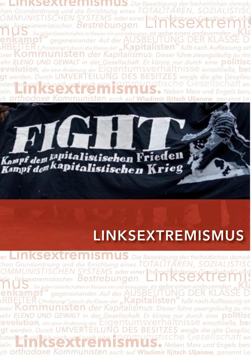 Seite 102 des Verfassungsschutzbericht 2012 Hessen
