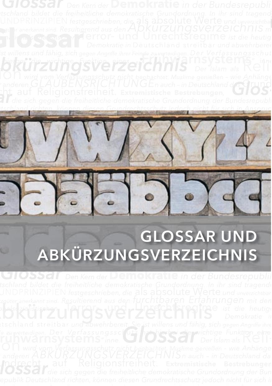 Seite 142 des Verfassungsschutzbericht 2012 Hessen