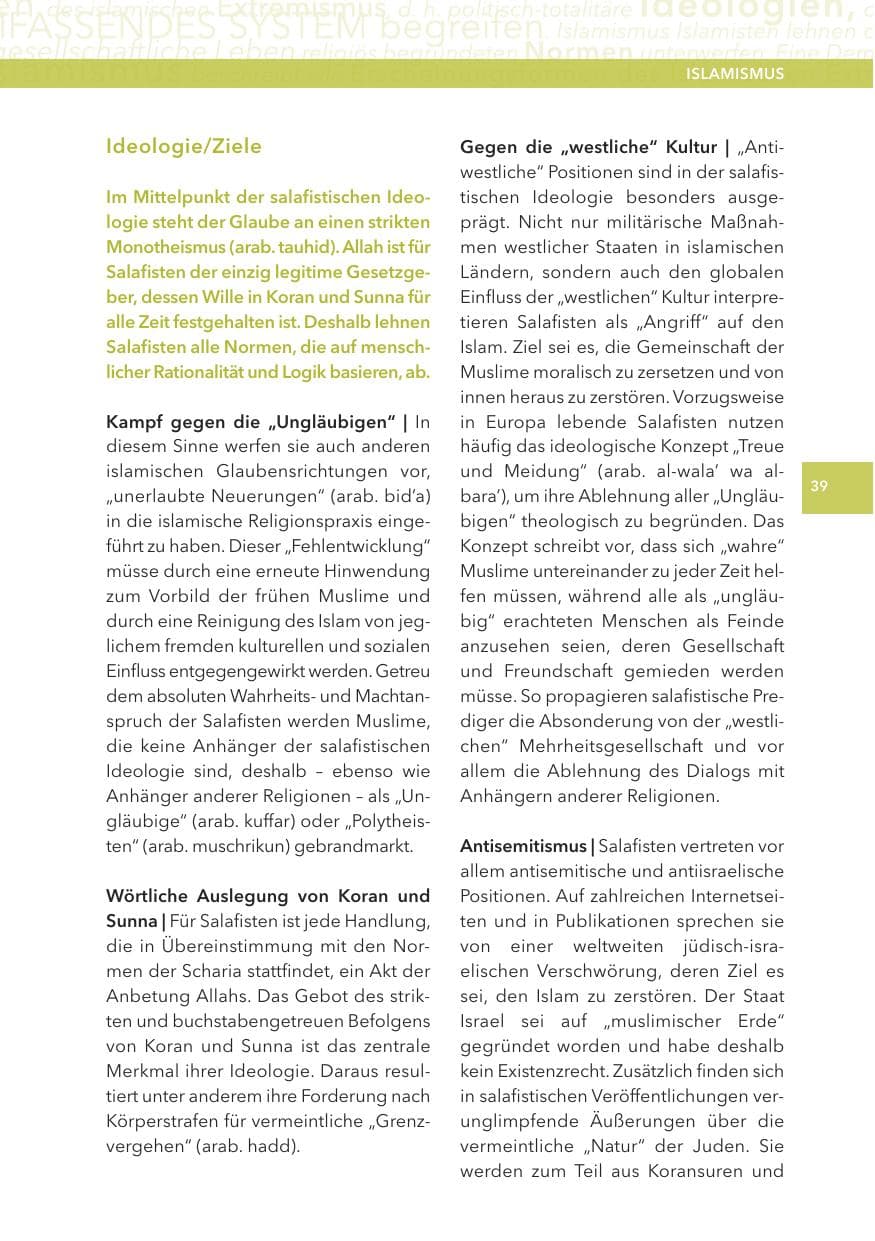 Seite 39 des Verfassungsschutzbericht 2012 Hessen