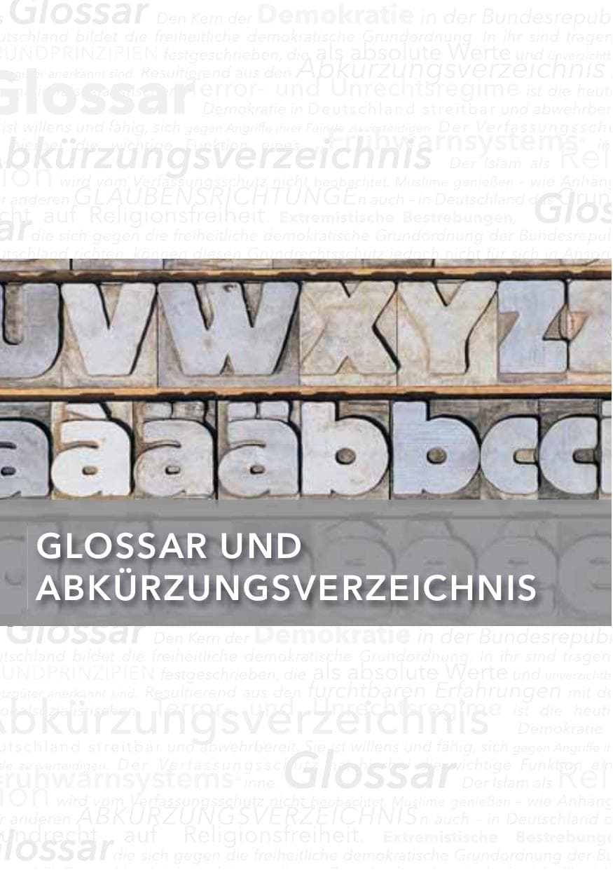 Seite 160 des Verfassungsschutzbericht 2013 Hessen