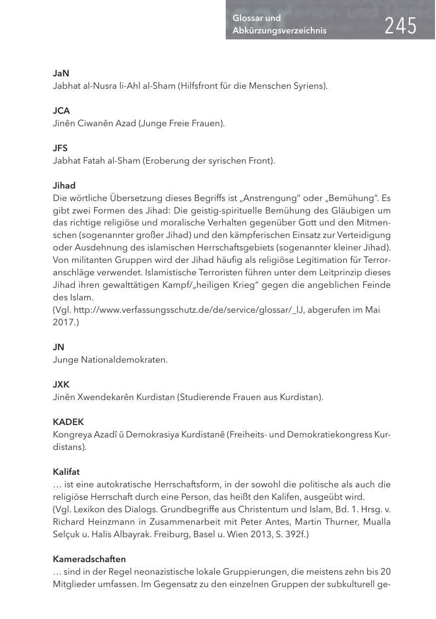 Seite 245 des Verfassungsschutzbericht 2016 Hessen