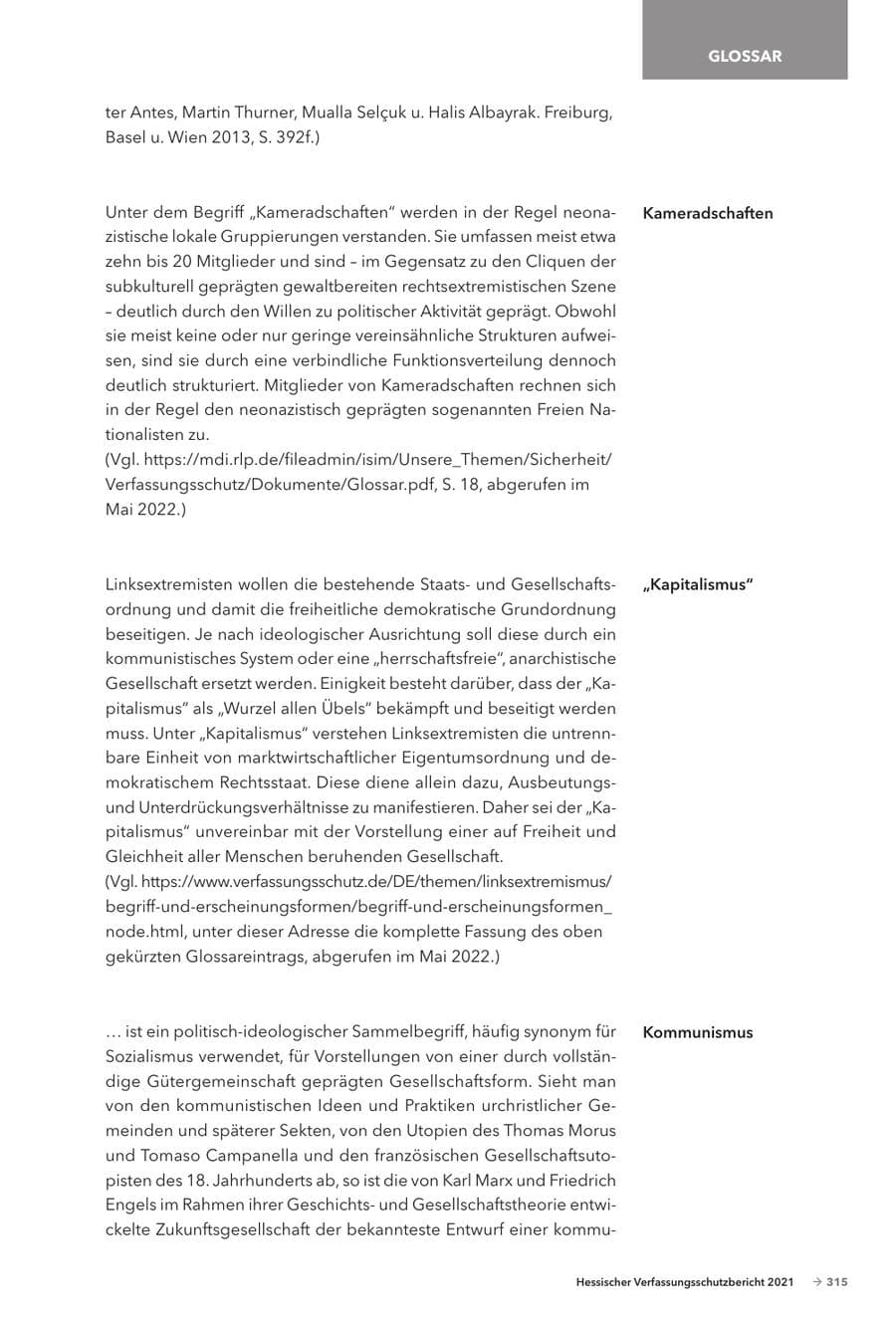 Seite 317 des Verfassungsschutzbericht 2021 Hessen