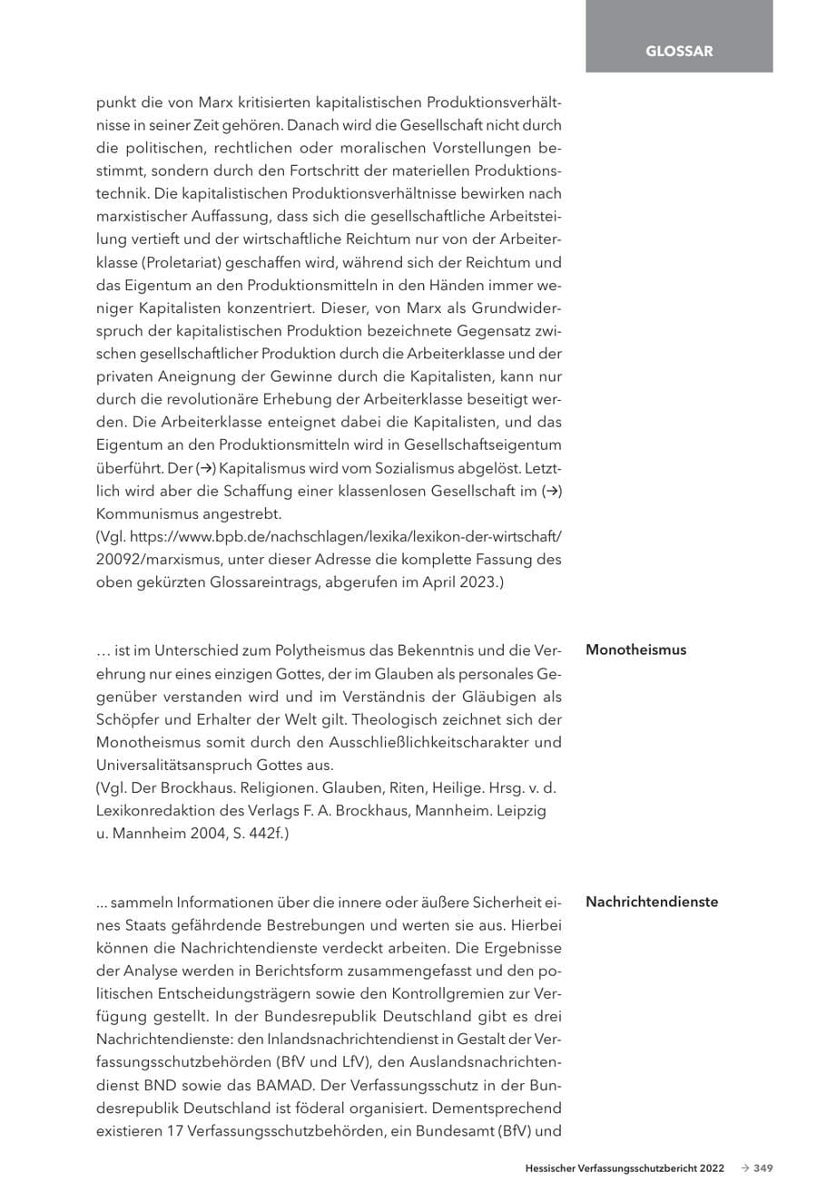 Seite 351 des Verfassungsschutzbericht 2022 Hessen