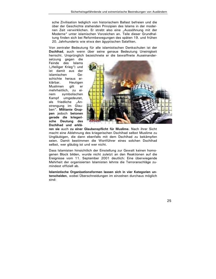 Seite 27 des Verfassungsschutzbericht 2002 Hamburg