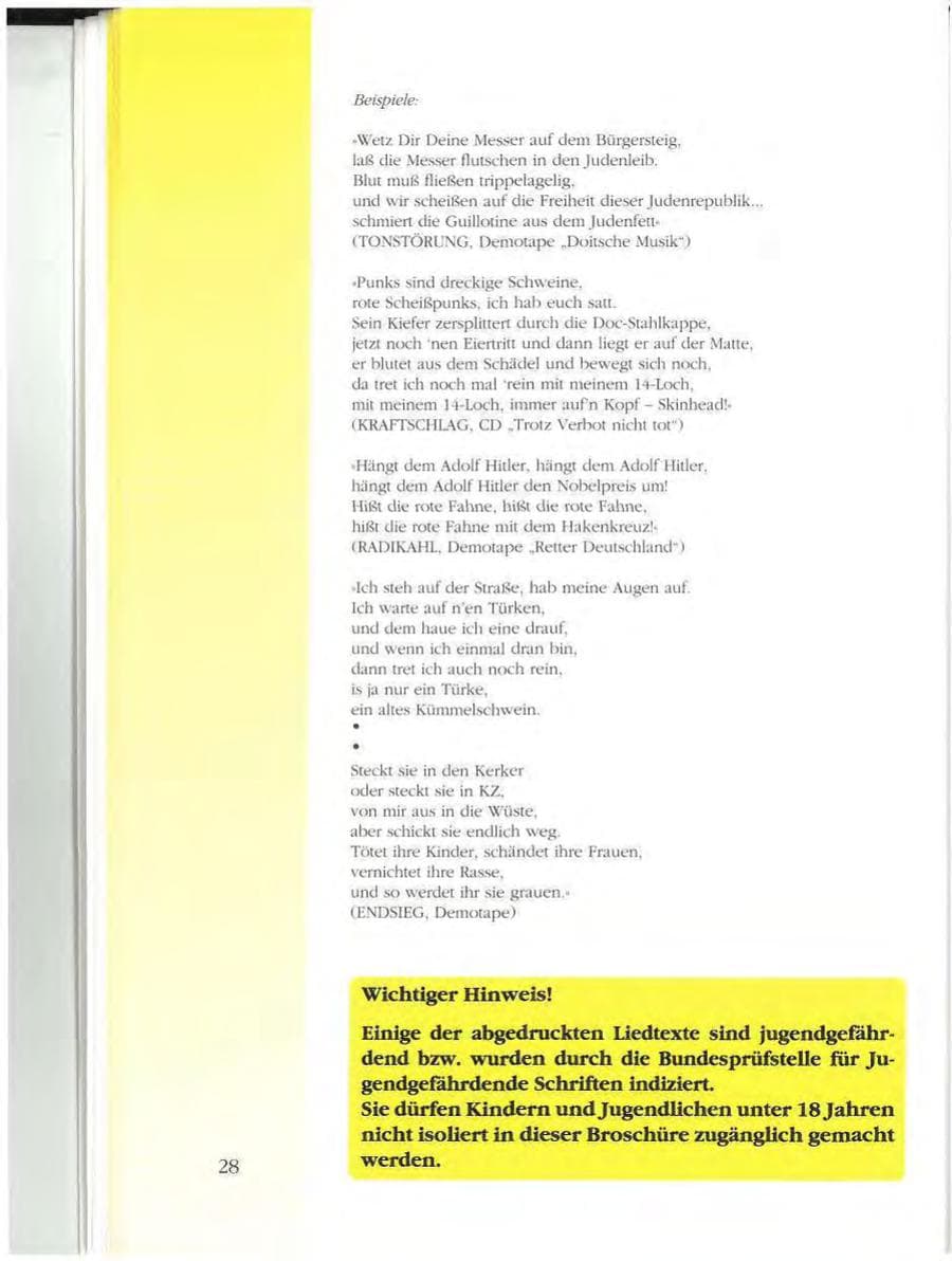 Seite 28 des Verfassungsschutzbericht 1993 Mecklenburg-Vorpommern