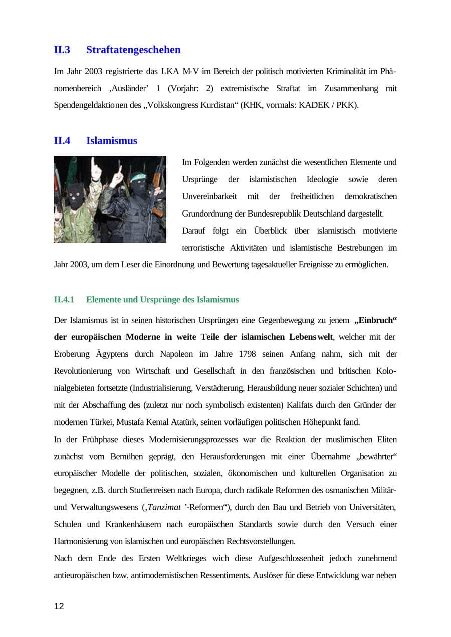 Seite 12 des Verfassungsschutzbericht 2003 Mecklenburg-Vorpommern
