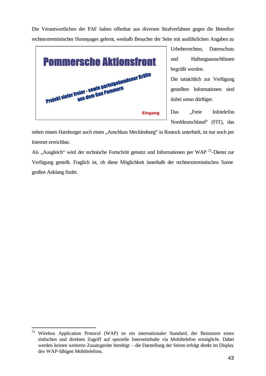 Seite 43 des Verfassungsschutzbericht 2003 Mecklenburg-Vorpommern