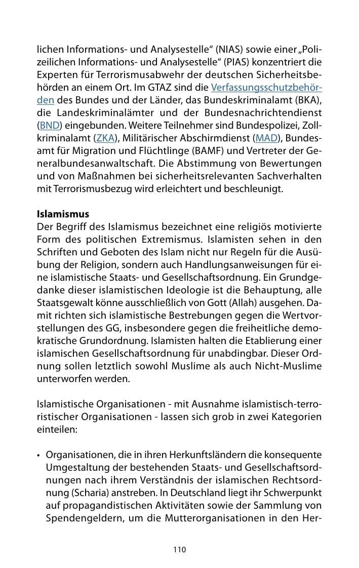 Seite 111 des Verfassungsschutzbericht 2010 Mecklenburg-Vorpommern