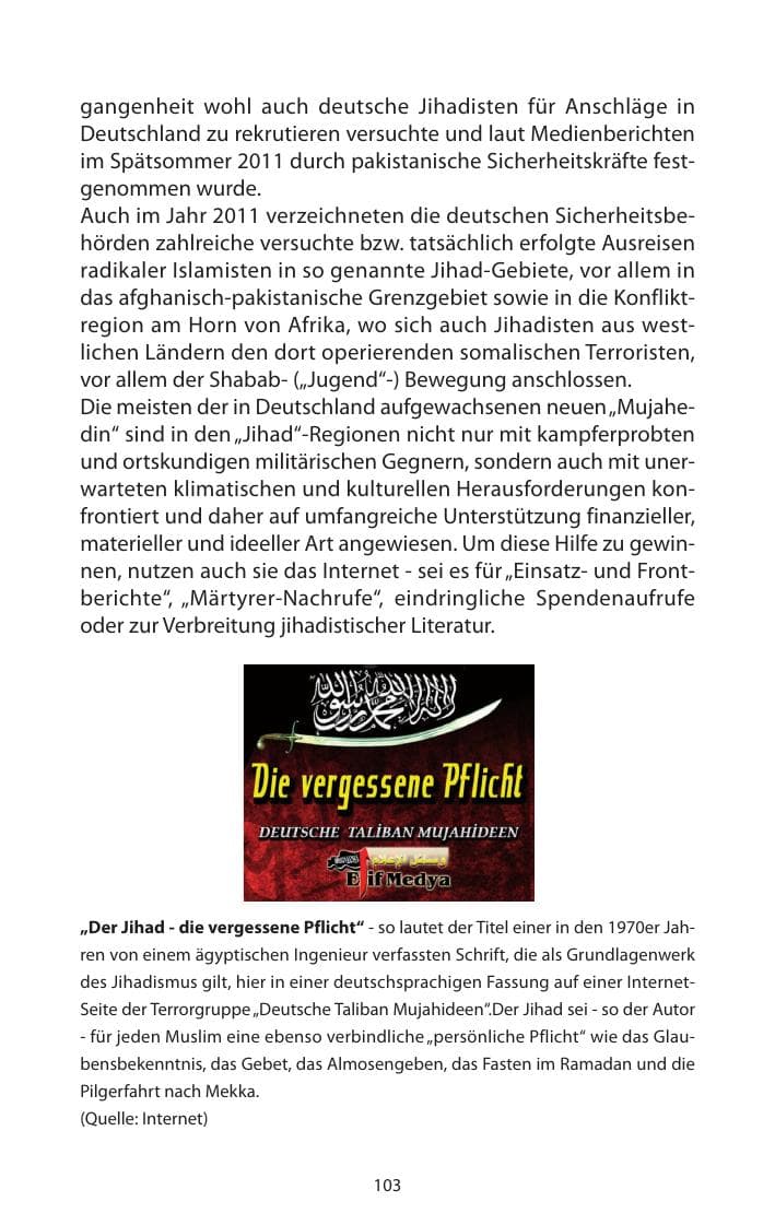 Seite 105 des Verfassungsschutzbericht 2011 Mecklenburg-Vorpommern