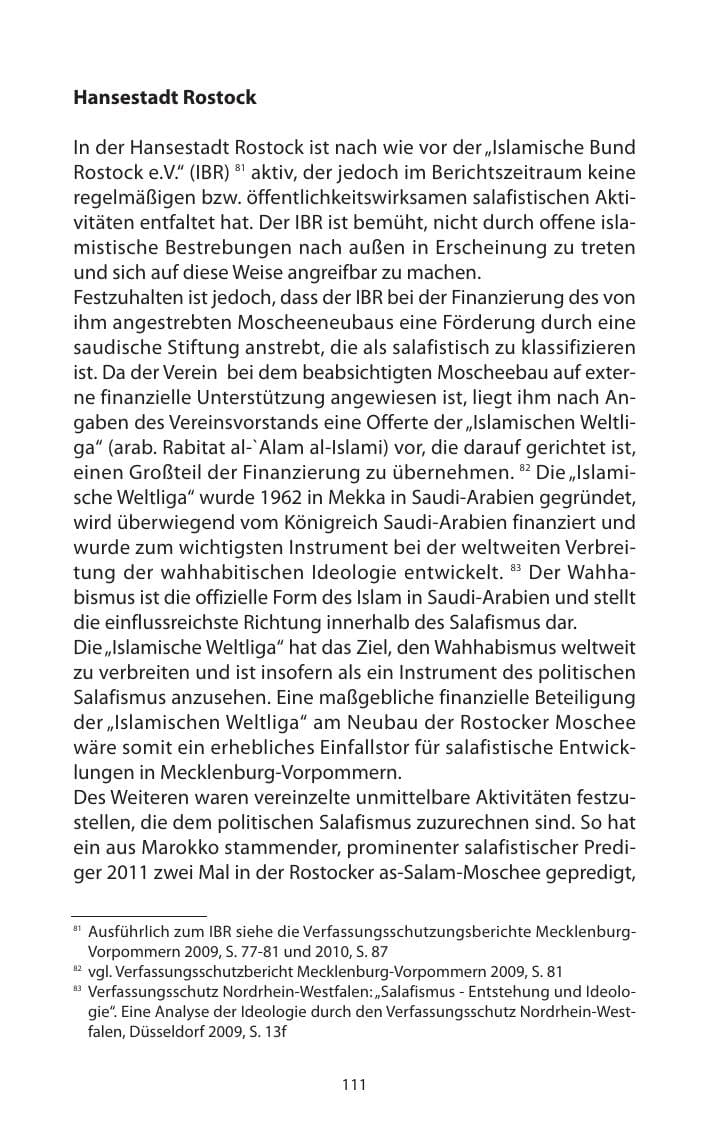 Seite 113 des Verfassungsschutzbericht 2011 Mecklenburg-Vorpommern