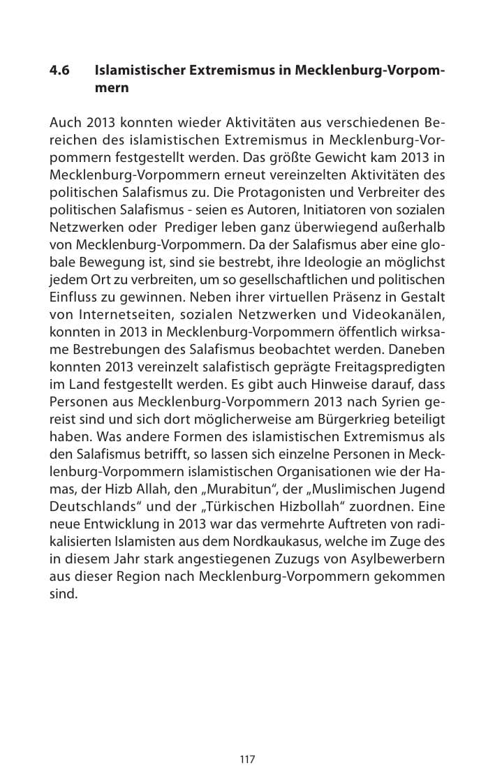 Seite 119 des Verfassungsschutzbericht 2013 Mecklenburg-Vorpommern