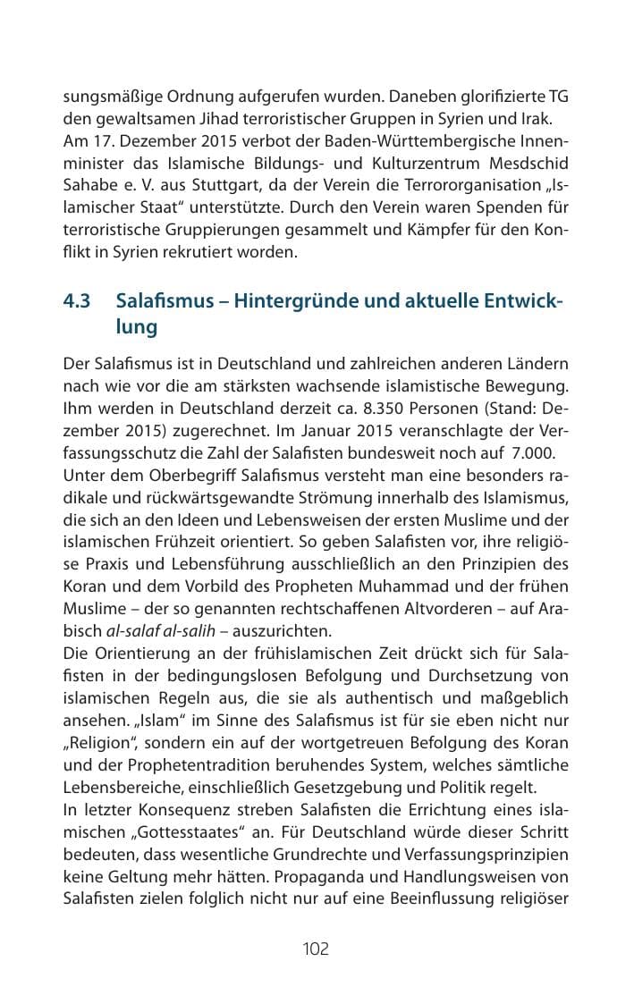 Seite 102 des Verfassungsschutzbericht 2015 Mecklenburg-Vorpommern