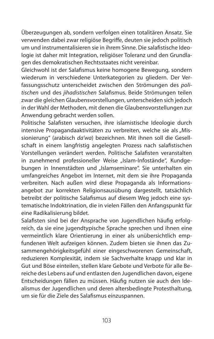 Seite 103 des Verfassungsschutzbericht 2015 Mecklenburg-Vorpommern