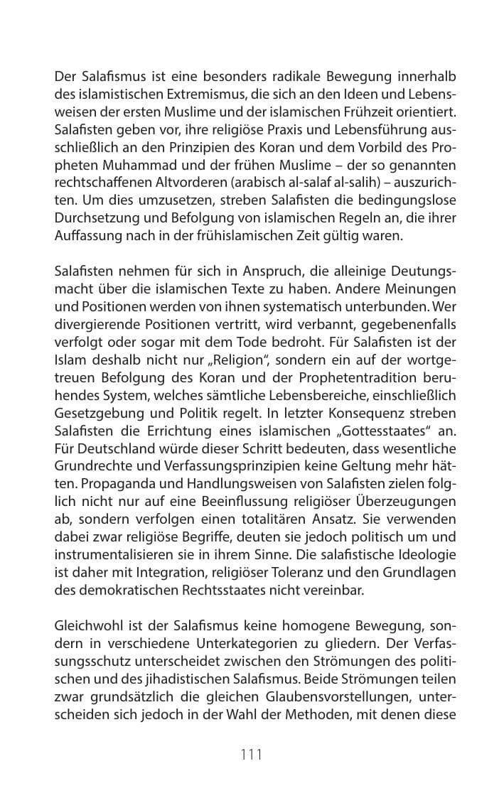 Seite 110 des Verfassungsschutzbericht 2016 Mecklenburg-Vorpommern