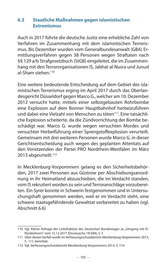 Seite 109 des Verfassungsschutzbericht 2017 Mecklenburg-Vorpommern