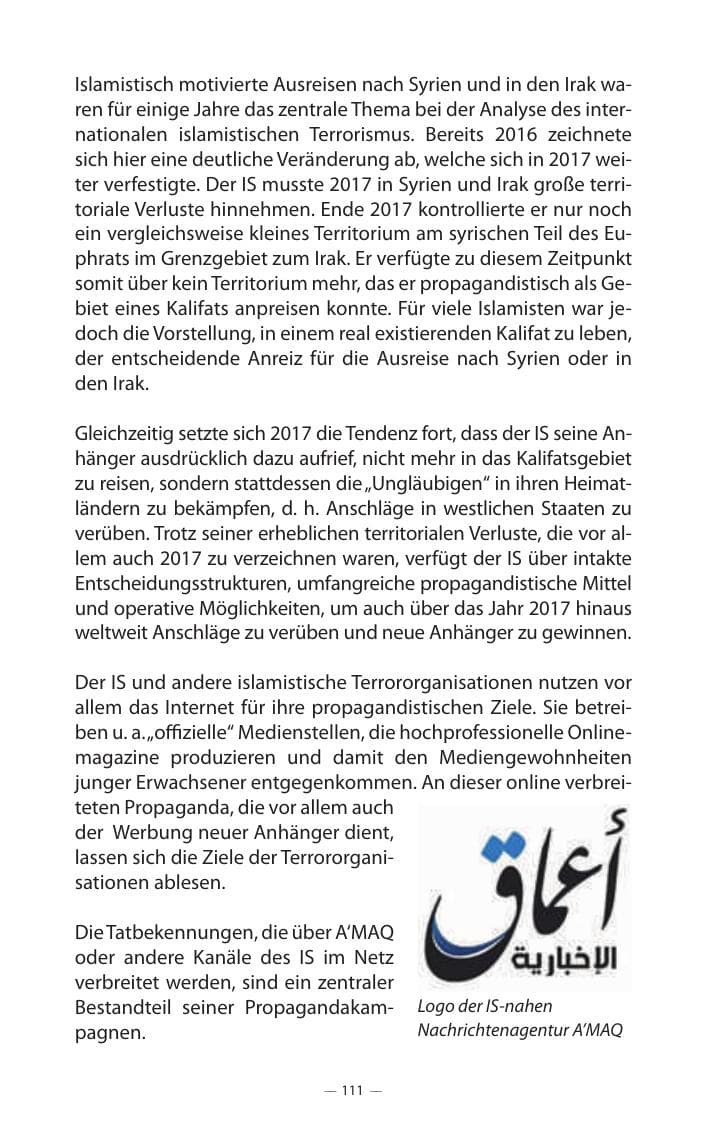 Seite 115 des Verfassungsschutzbericht 2017 Mecklenburg-Vorpommern