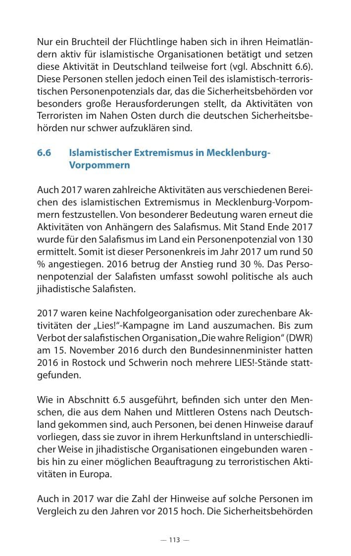 Seite 117 des Verfassungsschutzbericht 2017 Mecklenburg-Vorpommern