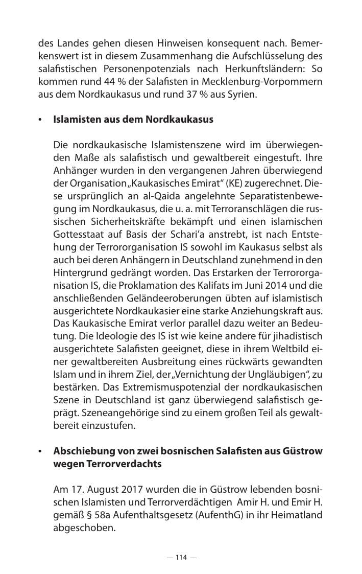 Seite 118 des Verfassungsschutzbericht 2017 Mecklenburg-Vorpommern