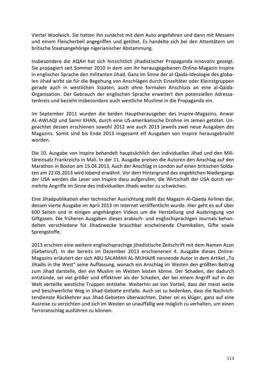 Seite 113 des Verfassungsschutzbericht 2013 Niedersachsen