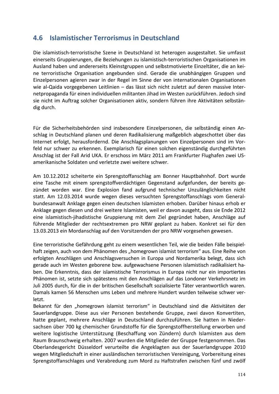 Seite 114 des Verfassungsschutzbericht 2013 Niedersachsen